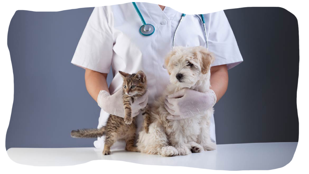 veterinar-2